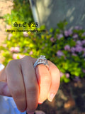 2.75ct Double Halo Cushion Wedding Ring Set Engagement Ring Diamond Simulated 925 Sterling Silver Bridal Set Ring SKU:00151