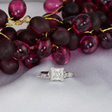 2.7ct Princess Cut Bridal Wedding Engagement Ring Diamond Simulated 925 Sterling Silver Anniversary Rings SKU:00169