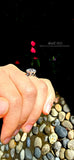 3ct Moissanite Cushion Cut Ring: Sterling Silver Anniversary Engagement